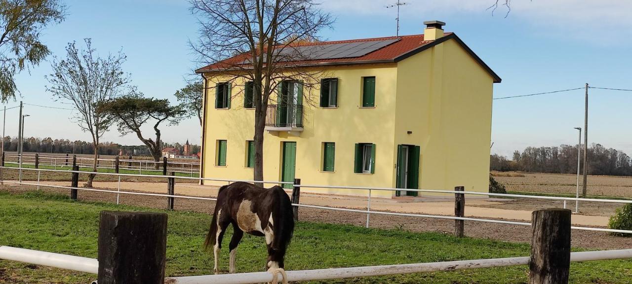 Вілла Brussa Horse Oasi Каорле Екстер'єр фото